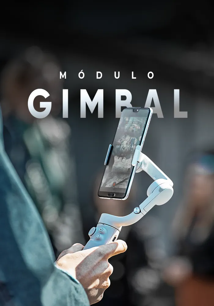 Gimbal